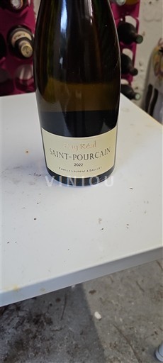 Vina Blanc sec Rag Réal 2022 Francija Dolina Loare Saint-Pourçain AOC