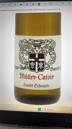 Пфальц Müller-Catoir Haardt Scheurebe 2020