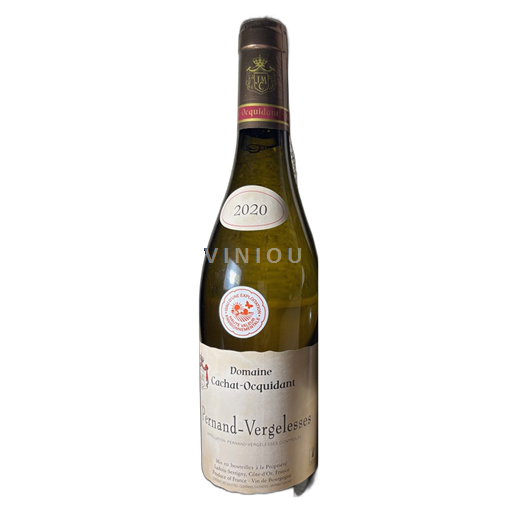 Burgund Pernand-Vergelesses Domaine Cachat-Ocquidant 2020