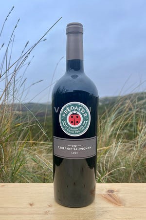 AVA de California Lodi Predator 2021