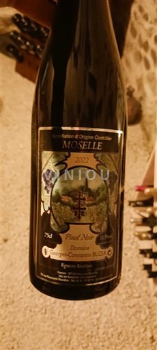 Лотарингія Мозель Domaine Georges-Caumont 2022