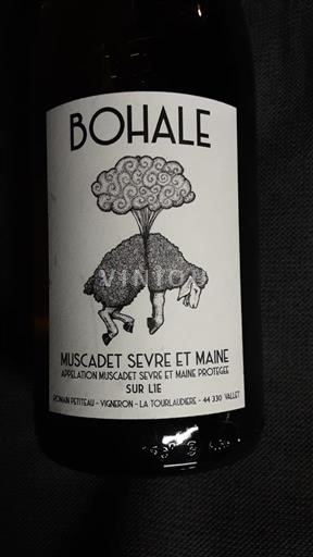 Valle del Loira Muscadet-sèvre-et-maine Domain Pétitau Bohale Sin añada