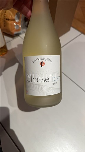 Воґд Во Chassel'ice 2024