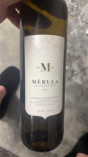 Фландрія Mérula 2020