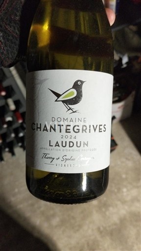 Rhônen laakso Côtes-du-rhône-villages Domaine Chantegrives 2024