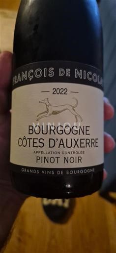 Burgundia Bourgogne Coastele Auxerre François de Nicolay 2022