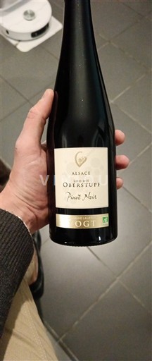 Alsasko Vogt Oberstufe 2023