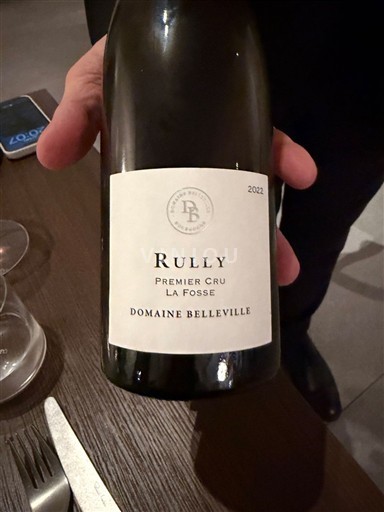Burgundy Rully Premier Cru Domaine Belleville La Fosse 2022