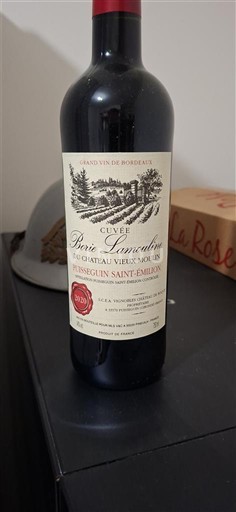 Бордо Пюїссеген-Сент-Емільйон Château Vieux Moulin Bois Lamothe 2020