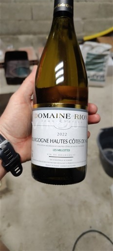 Бургундія Окрестности Нюи Domaine Rion Les Milletots 2022