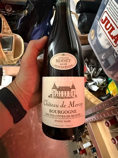 Borgogna Hautes Côtes de Beaune Château Mercey 2019
