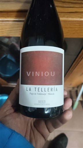 Кастилія і Леон Б'єрсо La Tellería Pago de Valdoneje 2023