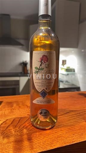 Sud-Ouest Côtes de Gascogne Domaine S Buissolets 2017