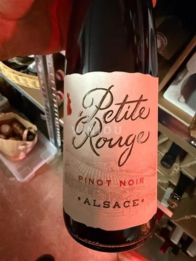 Alsace Petite Rouge 2025