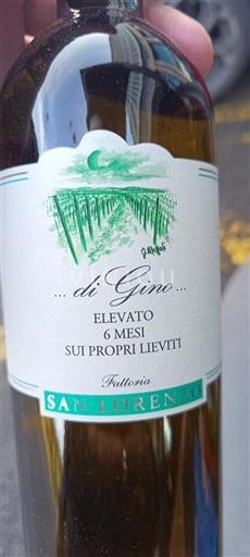 Марке Вердиккьо дей Кастеллі ді Єзі Fattoria San Lorenzo di Gino 2024