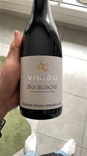 Bourgogne Domaine Sylvain Cathiard & Fils 2023