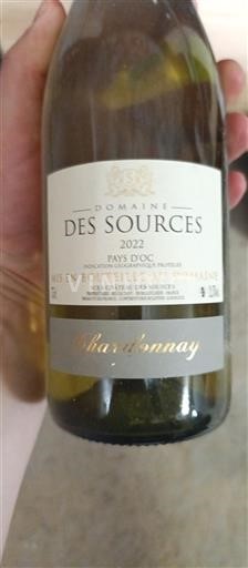 Лангедок та Руссійон Паї д'Ок Domaine S Sources 2022