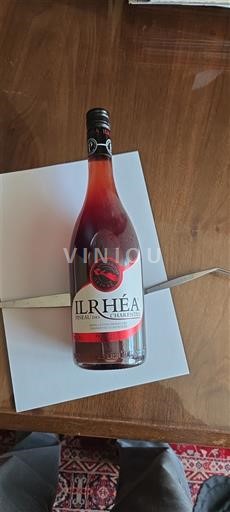 Пуату-Шарант Піно-де-Шарант Ilrhéa Без вінтажу