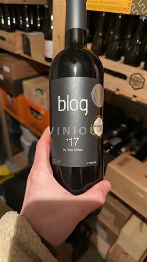 Алентижу Алентейжу Tiago Cabaço blog 2017