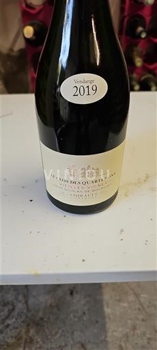 Valle del Loira Saint-Nicolas-De-Bourgueil Le Clos des Quarterons 2019