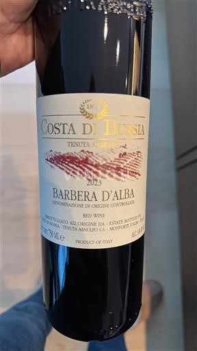 П'ємонт Барбера д'Альба Costa di Bussia 2023
