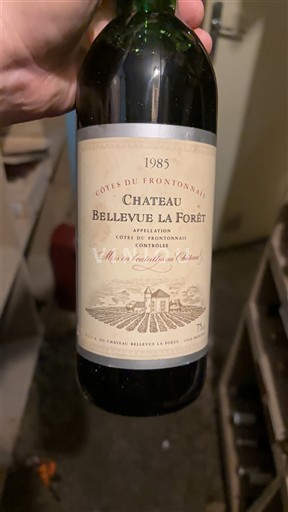 Південний Захід Фронтон Château Bellevue La Forêt 1985