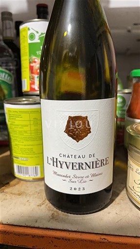 Thung lũng sông Loire Không được chỉ định Château L'Hyvernière 2023