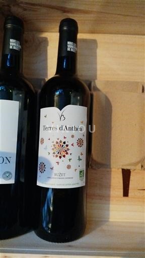 Jugozahod Buzet Terres d'Anthéa 2023