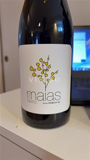 Bồ Đào Nha Dão Maias 2022