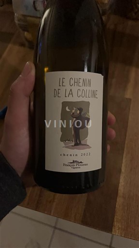 Valle del Loira No especificado Domaine Housset Pétout Le Chenin de la Colline 2022