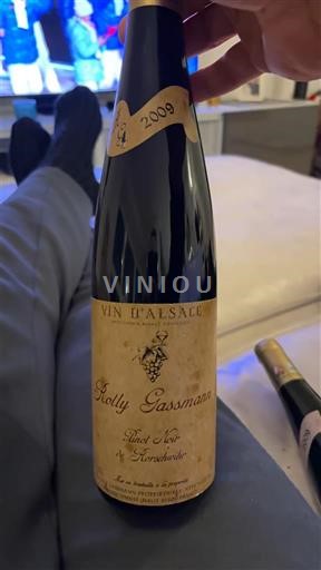 Víno Rouge sec Rolly Gassmann 2009 Francie Alsasko Vin de France