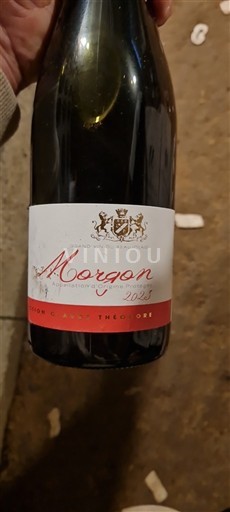 Beaujolais Morgon Xxxx8 2023