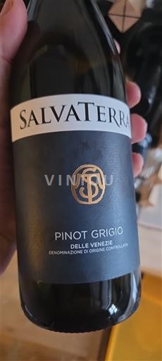 Veneto Delle Venezie Salvaterra Non-Vintage