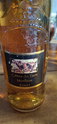 Південний Захід Кот-дю-Тарн Les caves du Sud ouest 2001