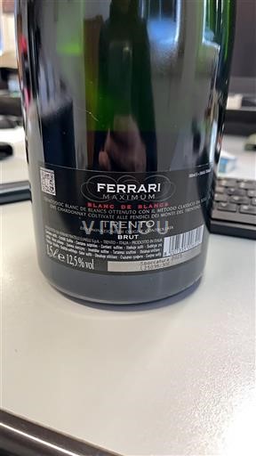 Трентіно-Альто-Адідже Альто-Адідже Ferrari Maximum Blanc de Blancs 2025