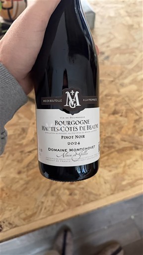 Бургундія Не вказано Domaine Montchovet 2021