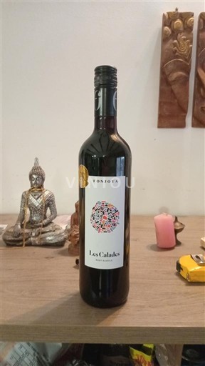 Лангедок та Руссійон Паї д'Ок Fonjoya Les Calades 2020