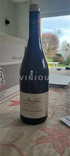 Beaujolais Morgon Domaine La Bêche Vieilles Vignes 2024