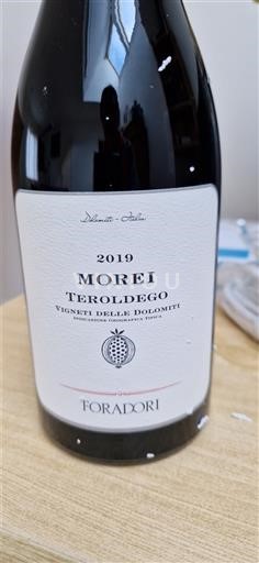 Трентіно-Альто-Адідже Виноградники Доломітів Foradori Morei 2019