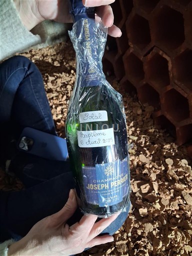 Sparkling Wines Blanc brut Joseph Perrier 2015 France Champagne AOC