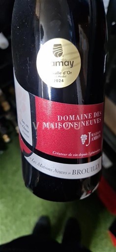 Божоле Бруїйї Domaine S Maisons Neuves Les Maisons Neuves 2023