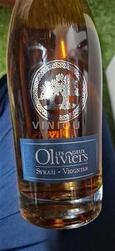 Лангедок та Руссійон Паї д'Ок Les Deux Oliviers Syrah - Viognier 2021