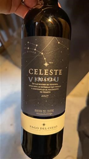 Кастилія і Леон Рибера-дель-Дуеро Pago del Cielo Celeste Crianza 2017