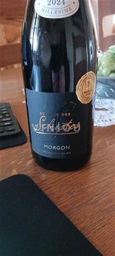 Beaujolais Morgon Domaine S Schistes 2024