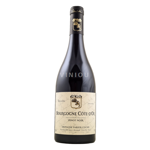 Burgundi Bourgogne Côte d'Or Domaine Fabien Coche 2020