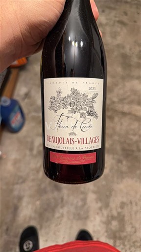 Божоле Божоле Віллаж Fleur de Cuve 2023