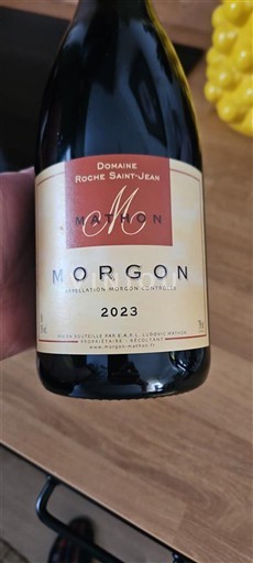 Víno Rouge sec Domaine Roche Saint-Jean 2023 Francie Beaujolais Morgon AOC