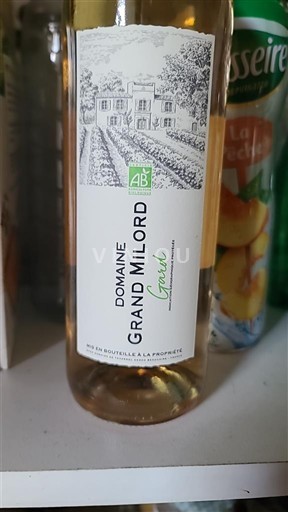 Південний Захід Не вказано Domaine Grand Milord Gris 2024