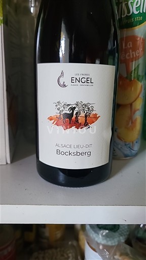 Vin Blanc sec Les Frères Engel 2022 France Alsace Vin de France Grand Cru