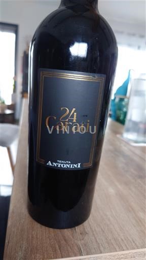 Abruzzo Montepulciano d'Abruzzo Tenuta Antonini 24 Carati 2019
